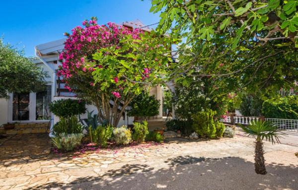 Apartment "Marija" - Otok Вир Екстер'єр фото